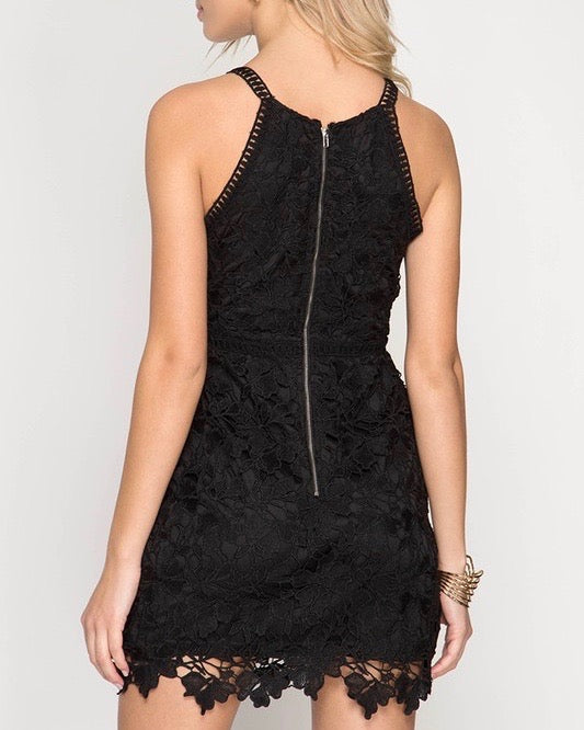 Ashlyn Sleeveless Lace Bodycon Dress in Black