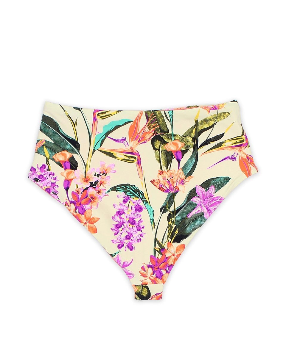 Kris Seamless Moderate Coverage High Waisted Bikini Bottoms in Birds of Paradise