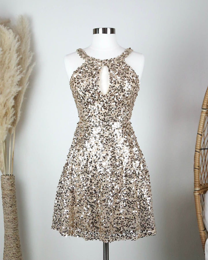 Bedazzling Sparkly Sequin Mini Dress in Gold