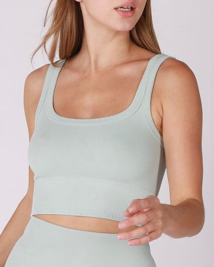 Casey Ribbed Crop Top in More Colors